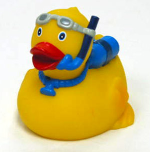 Diver Duck