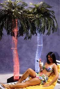 Aqua Palm 2