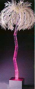 Aqua Palm