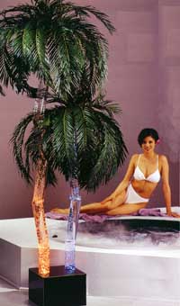 Aqua Palm 1