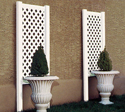 Trellis - Lace