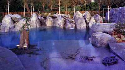 Jurassic Pool