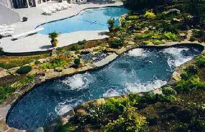 Free Form Pool & Spa