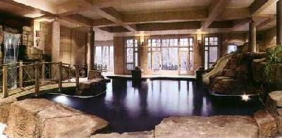 Spectacular Inground Pool