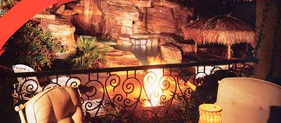 Indoor Paradise