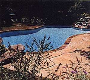Plain Gunite Pool