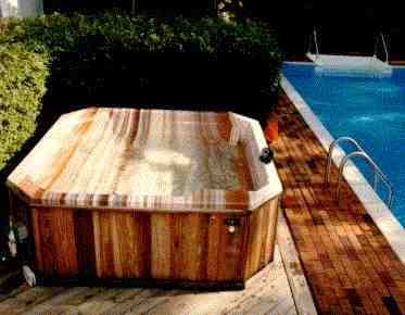 Pool and Spa