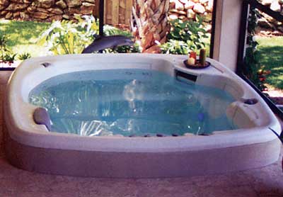 Hot Spring with a Dolphin