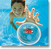 Swimming Pool Toys And Games