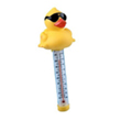 Hot Tub Spa Thermometers
