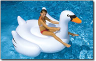 Giant Swan Ride-On