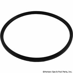 31-295-1114 - Lid Seal, Sand Filter - R0487400 - UPC - 52337051651 - 31-295-1114