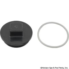 55-105-1728 - PLUG 2* W/GASKET 13001102 - 43-3092-02-R - UPC - 622454275027 - 55-105-1728