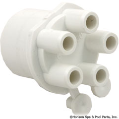 55-270-2202 - Manifold, 1 Inch Spg X (5) 3/8 Inch Barbs (2) Plugs - 672-4100 - UPC - 806105119650 - 55-270-2202
