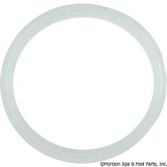 55-270-2498 - Flat Gasket, Poly Storm - 711-4410 - UPC - 806105124715 - 55-270-2498