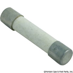 60-555-1098 - Slo Blo Fuse 125V 0.25A MDA - MDA 1/4 - 60-555-1098