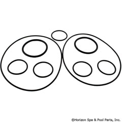 87-100-2000 - Clnr o-ring kit Caretaker Water Valve Polaris - 37024 - UPC - 738919017009 - 87-100-2000