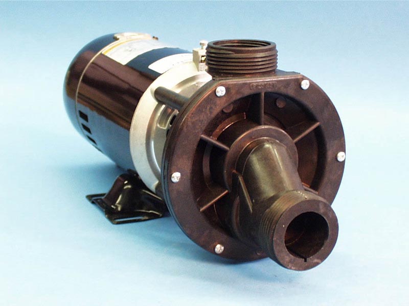 01710120 - Pump, 1HP, 10 Minute Time Delay, 110V - 01710120