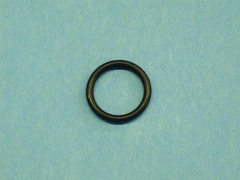 172451 - O-Ring,Filter Check Valve,RAINBOW,Chemical Feeder,15/16 Inch ID x - 172451