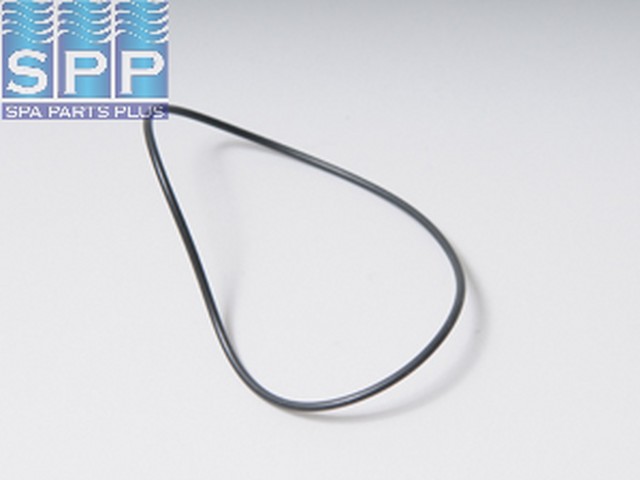 0301-154 - O-Ring,Valve,MAGIC,Swing Spring Check Valve,2 Inch - 0301-154 - N