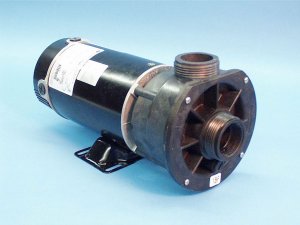 300-1010-R - Pump Assy,WATERW,CD,2Spd,3/4HP,115V,8.8/2.6A,48Frame - 300-1010-R