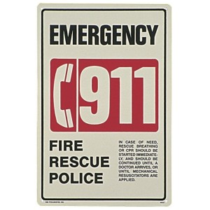 40331 - Pool & Spa Safe - 40331