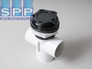 600-3119DSG - Valve Assy,WATERW,Vertical 2-Port(Diverter)Top Acc,Revo,2 Inch - 600-3119DSG