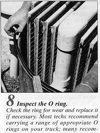 filter20-8.JPG (27152 bytes)