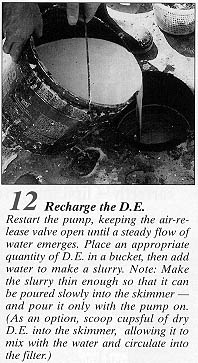 filter21-12.JPG (34708 bytes)