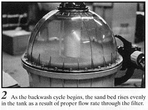 filter27-2.JPG (22891 bytes)