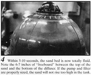 filter27-4.JPG (26536 bytes)