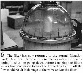 filter27-6.JPG (28352 bytes)