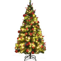 Christmas Trees, All Sizes, Shapes And Colors