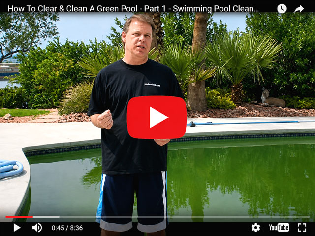 How To Clear A Green Pool Video